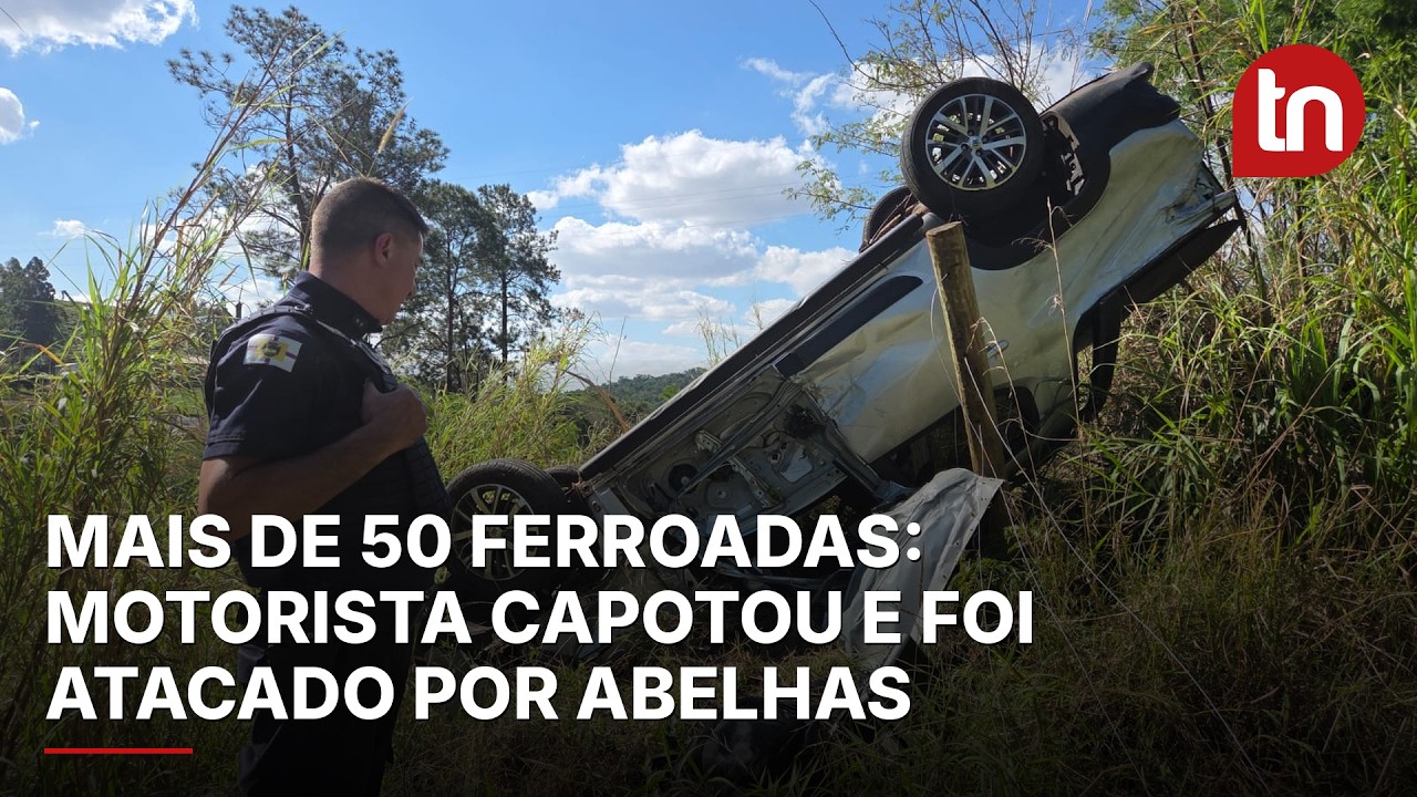 Motorista capota na PR-170 e sofre mais de 50 ferroadas de abelhas