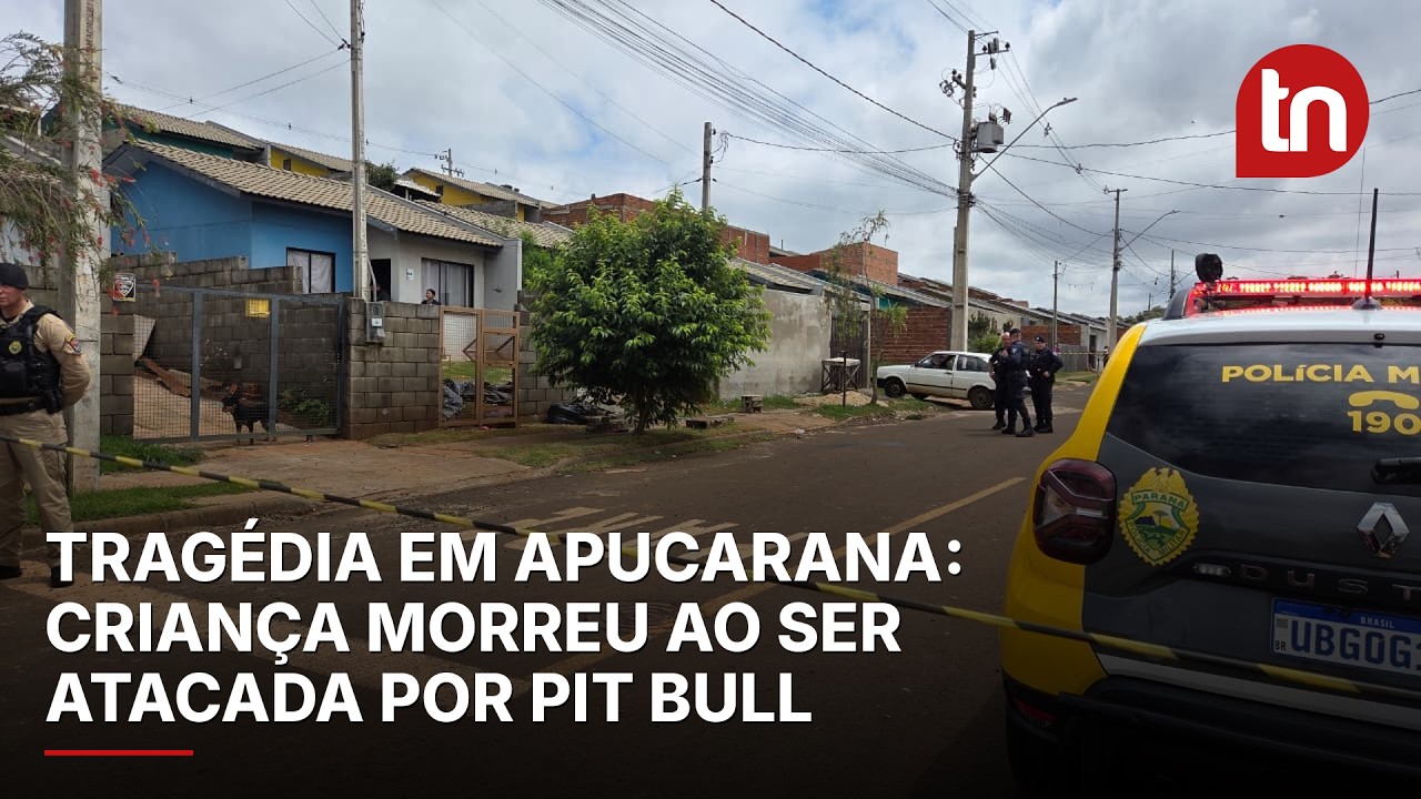 Criança morre após ser atacada por pit bull em Apucarana (PR)