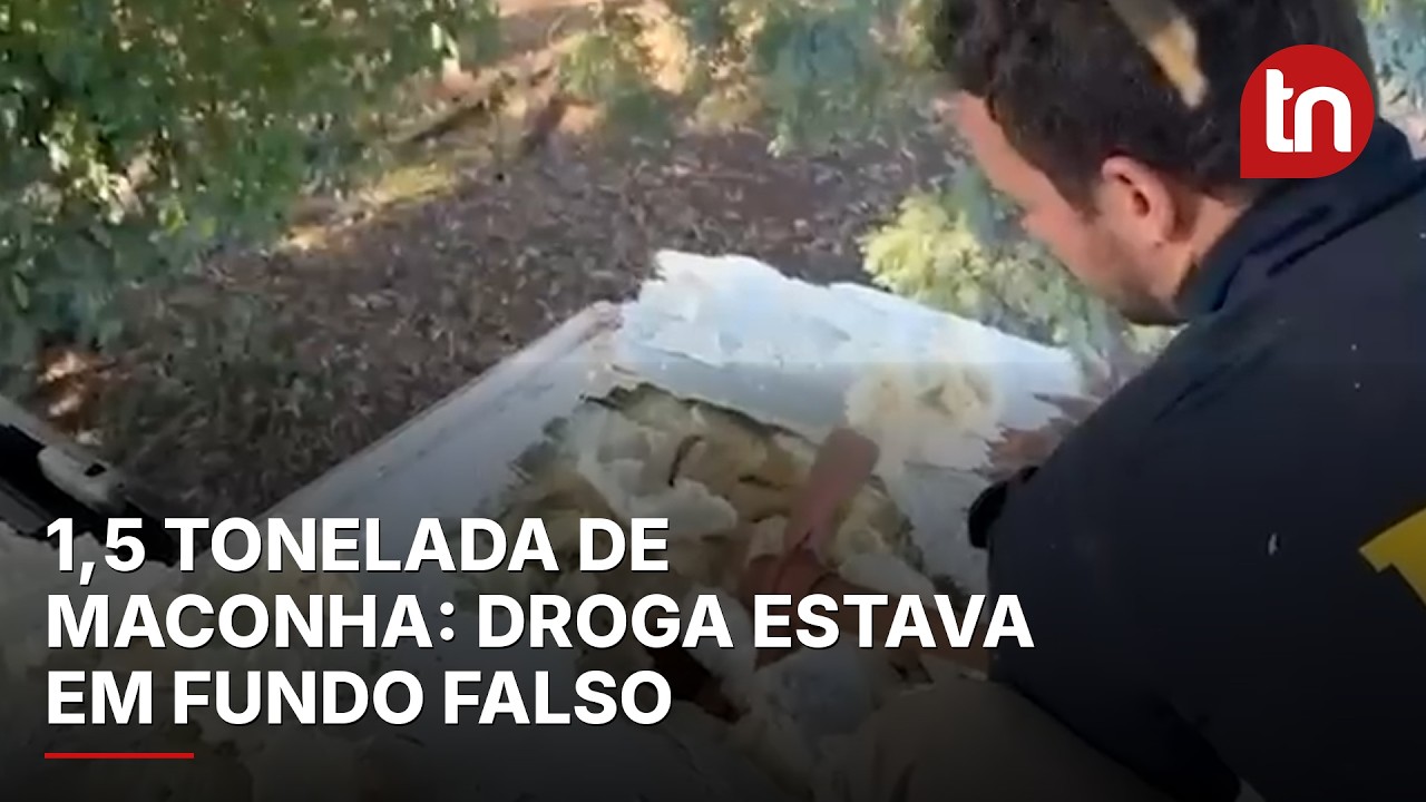 PRF apreende 1,5 tonelada de maconha escondida em carga de frango congelado em Cambé