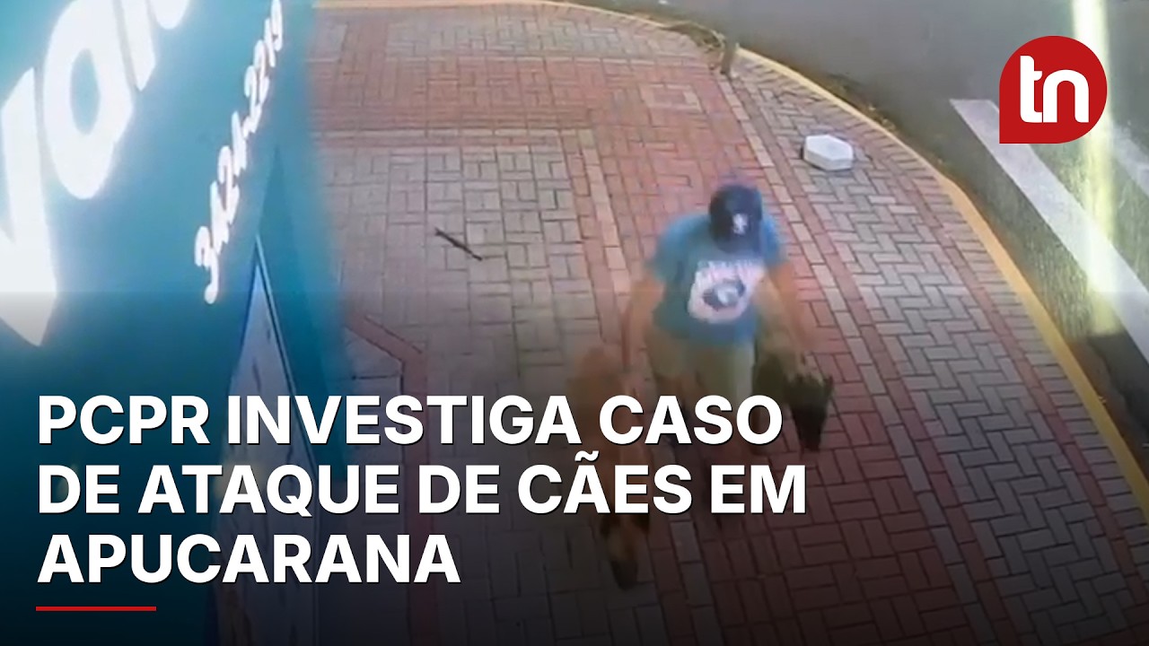 Vídeo mostra tutor e cães de caso de ataque em Apucarana