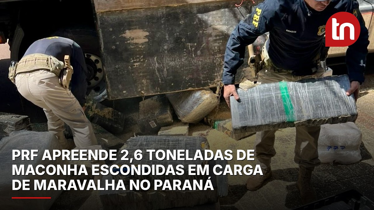 PRF apreende 2,6 toneladas de maconha escondidas em carga de maravalha no Paraná; veja vídeo