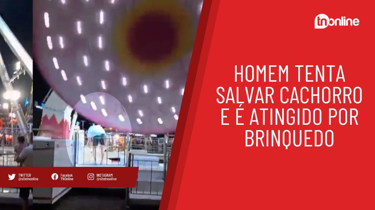 Homem tenta salvar cachorro e é atingido por brinquedo