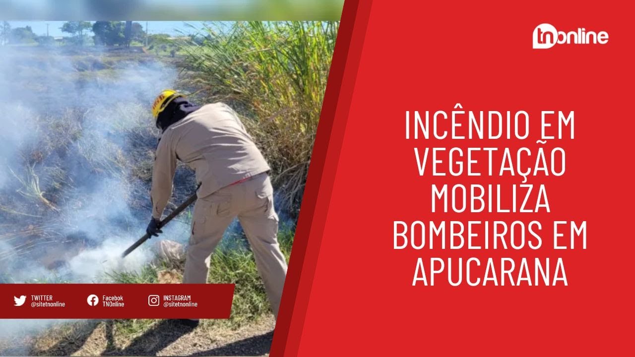 Incêndio em vegetação mobiliza bombeiros em Apucarana
