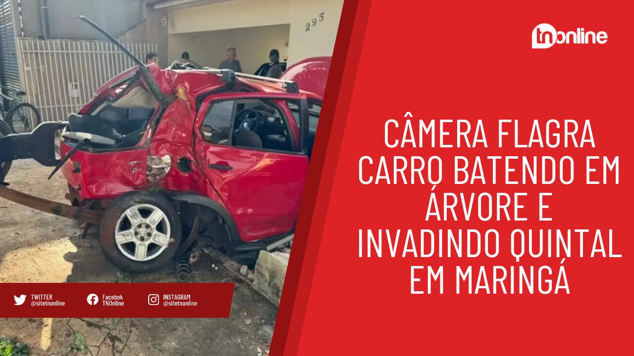 Câmera flagra carro batendo em árvore e invadindo quintal em Maringá