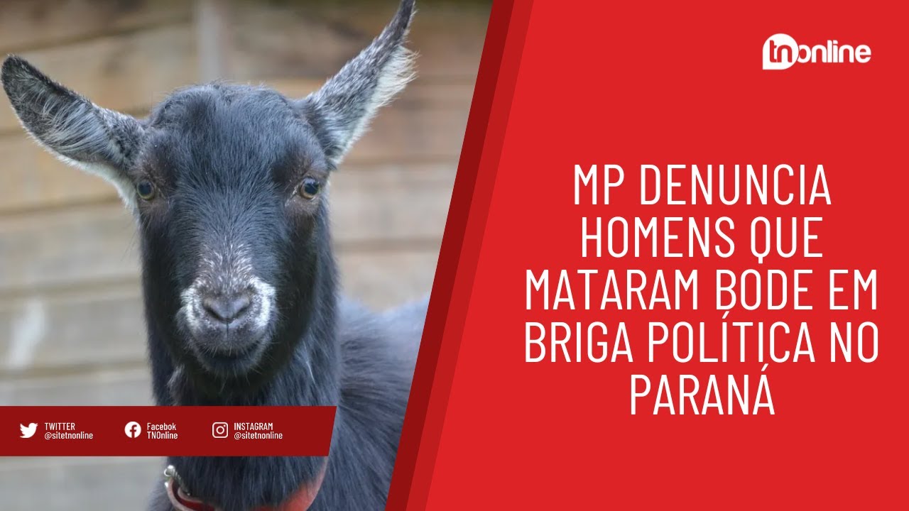 MP denuncia homens que mataram bode em briga política no PR