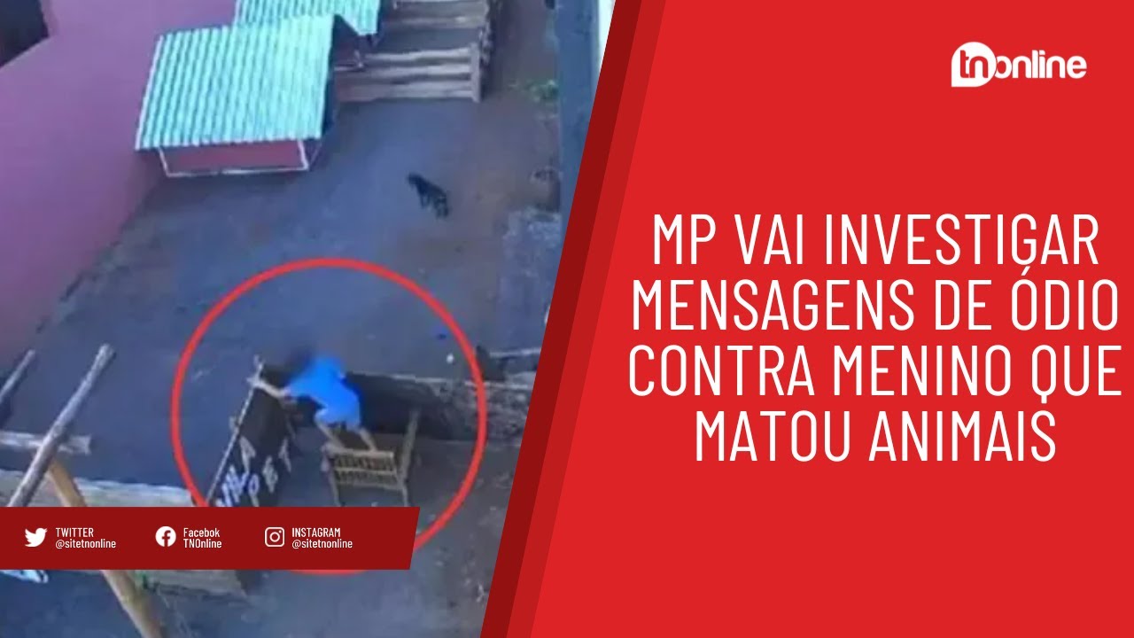 MP investiga mensagens de ódio contra menino que matou animais