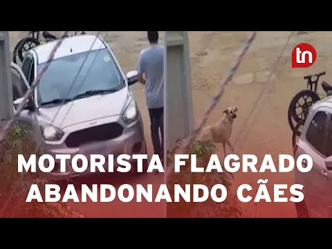 Mau exemplo! Motorista é flagrado abandonando filhotes