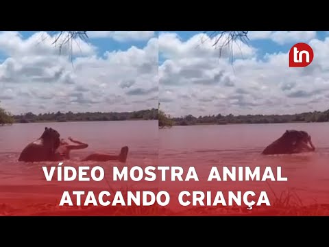 Adolescente é atacada por capivara em lago