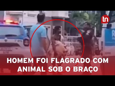 Homem em situação de rua tenta roubar tartaruga marinha viva de praia