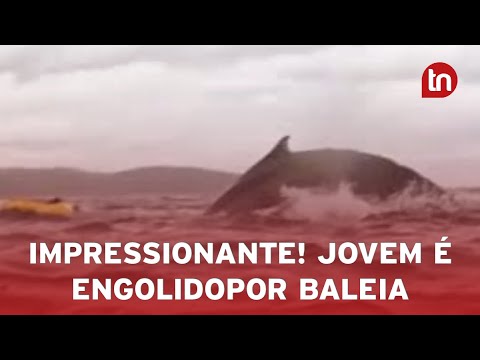 Vídeo mostra baleia abocanhando homem que passeava de caiaque no Chile