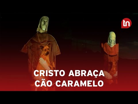 Cristo Redentor abraça vira-lata caramelo para campanha sobre adoção