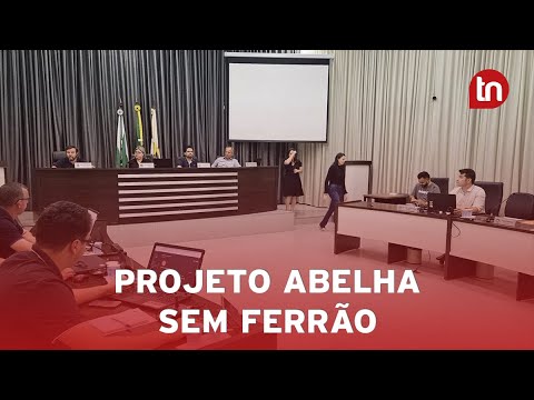 Projeto Abelha sem Ferrão é aprovado na Câmara de Apucarana