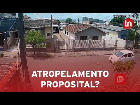 Vídeo chocante mostra carro atropelando cachorro em Arapongas
