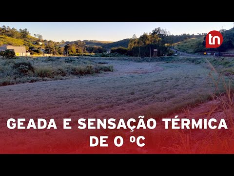 Apucarana amanhece com geada e sensação térmica de 0 ºC