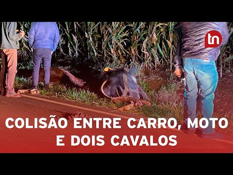 Colisão entre Gol, moto e dois cavalos deixa feridos em Apucarana