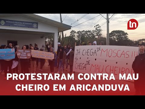 Moradores de Aricanduva protestam contra mau cheiro causado por granja