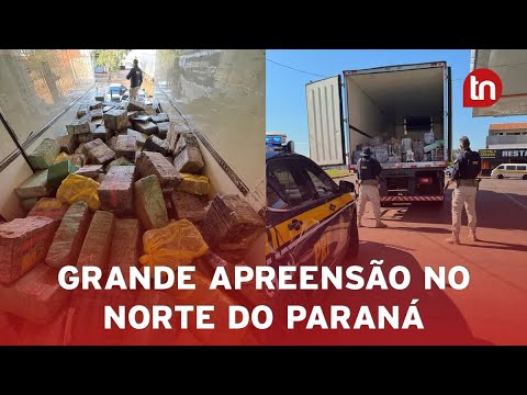 PRF apreende quase oito toneladas de maconha na BR-369 em Cambé