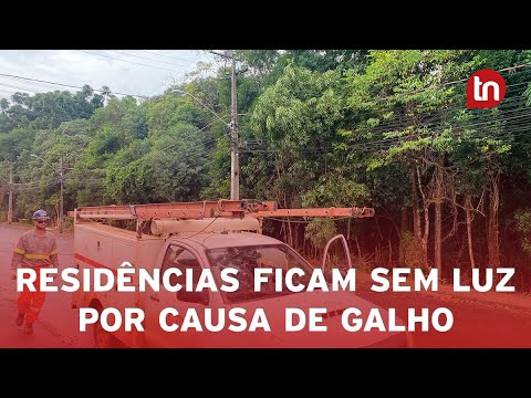 Queda de galho em rede da Copel deixa moradores sem luz em Apucarana