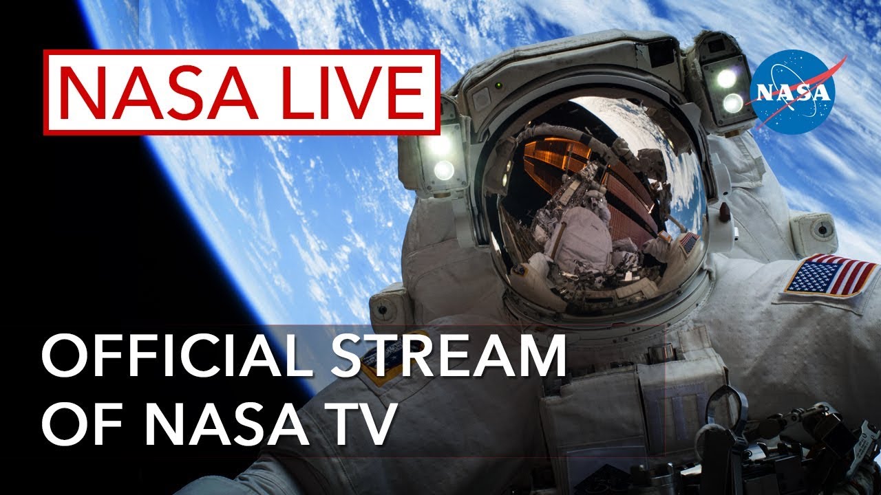 AO VIVO: Nasa e SpaceX fazem lançamento da nave espacial Crew Dragon