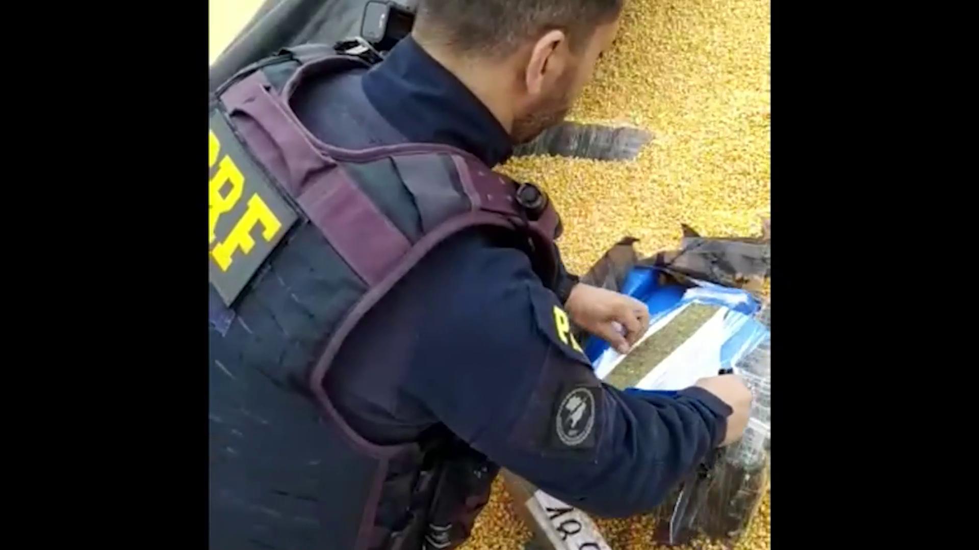 PRF apreende mais de 2,5 toneladas de maconha no Paraná