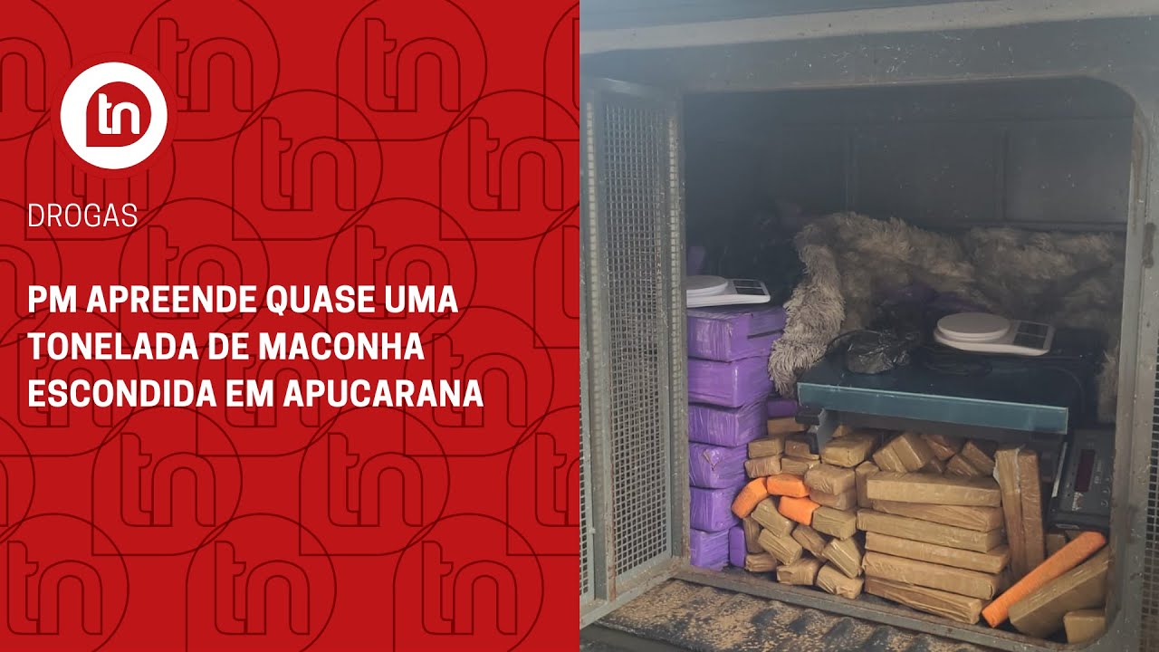 PM apreende quase uma tonelada de maconha escondida em Apucarana