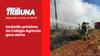 Incêndio próximo do Colégio Agrícola gera alerta