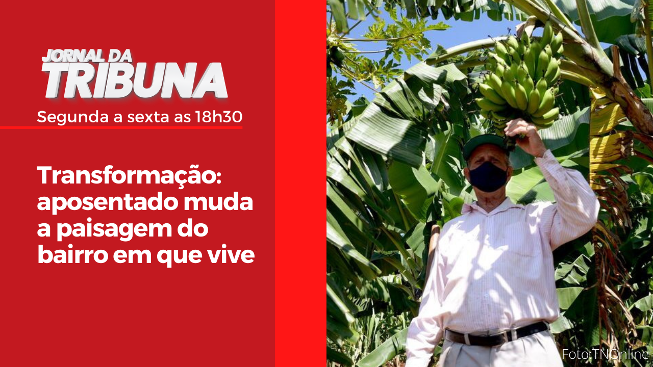 Transformação: aposentado muda a paisagem do bairro em que vive