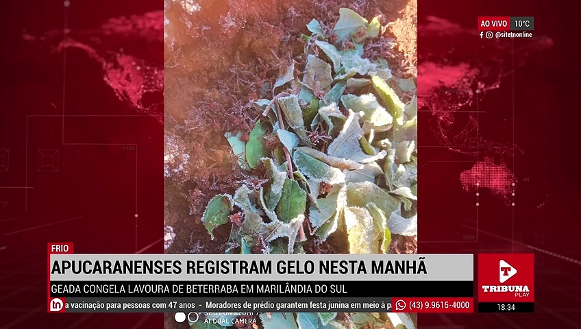 Moradores de Apucarana registram gelo nesta manhã