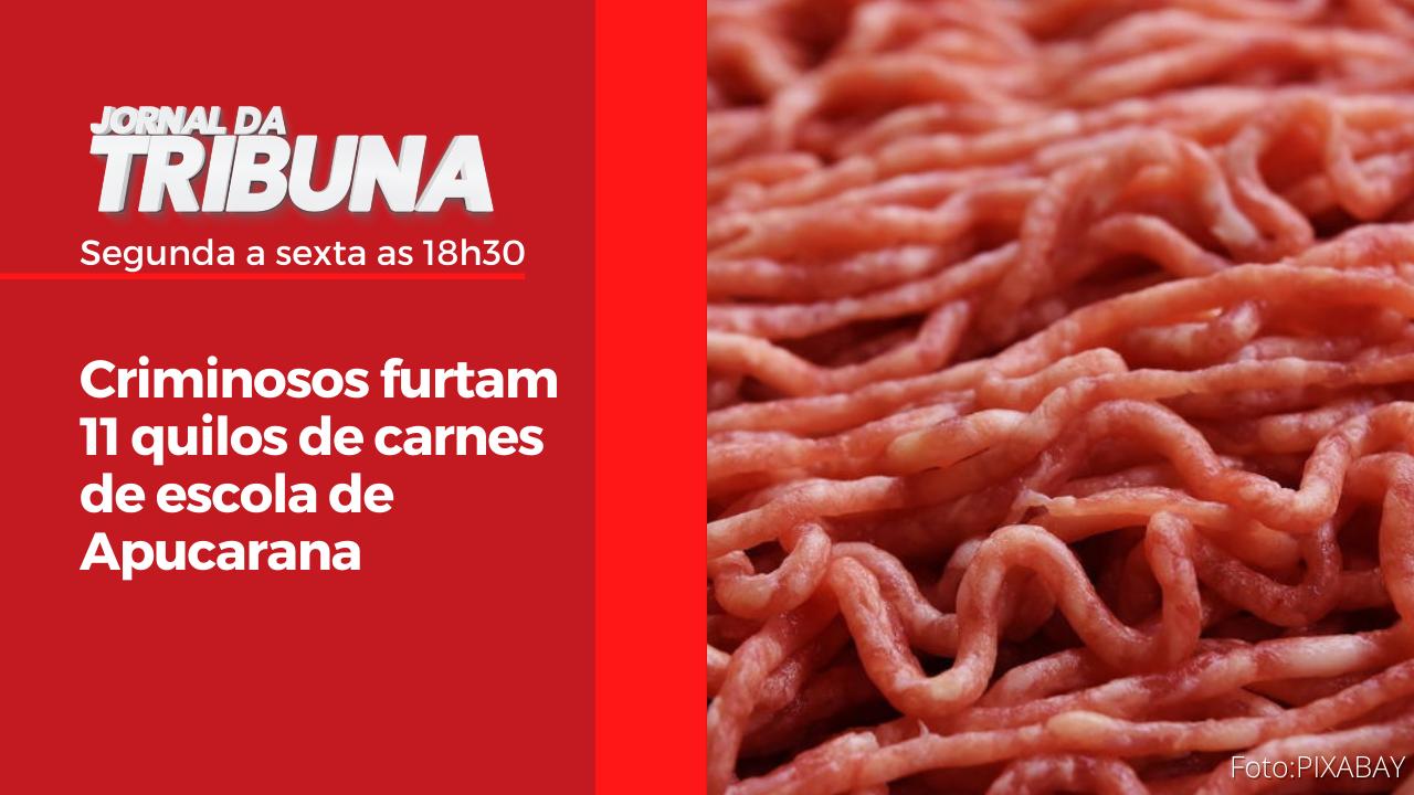 Criminosos furtam 11 quilos de carnes de escola de Apucarana