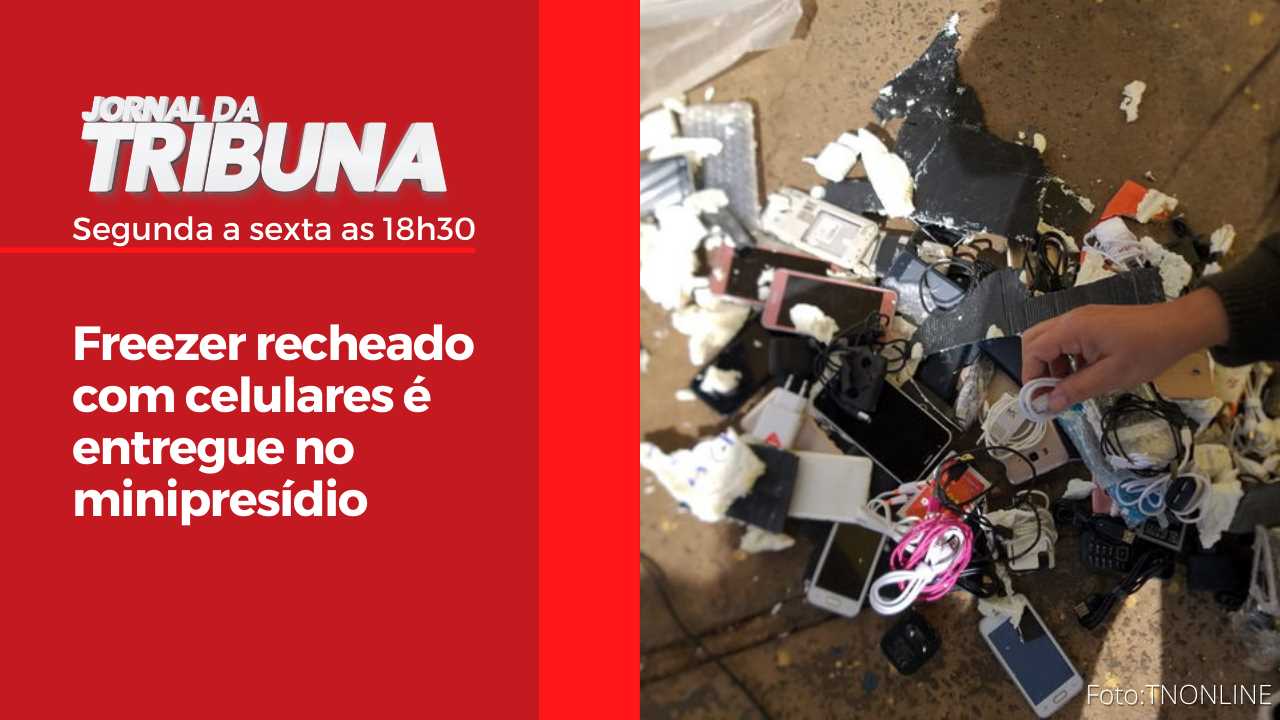 Freezer recheado com celulares é entregue no minipresídio