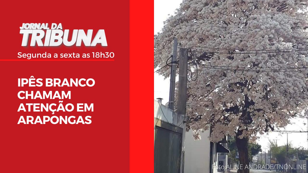 IPÊS BRANCO CHAMAM ATENÇÃO EM ARAPONGAS