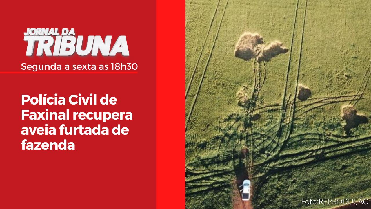 Polícia Civil de Faxinal recupera aveia furtada de fazenda