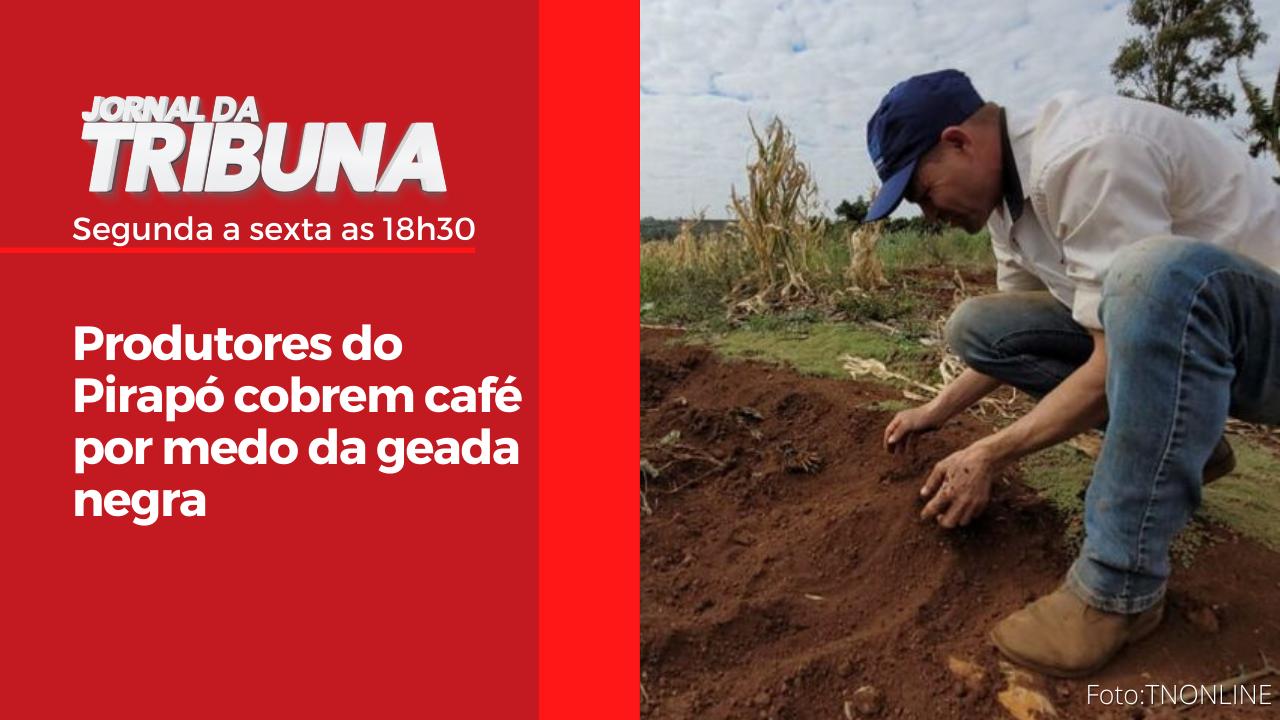 Produtores do Pirapó cobrem café por medo da geada negra