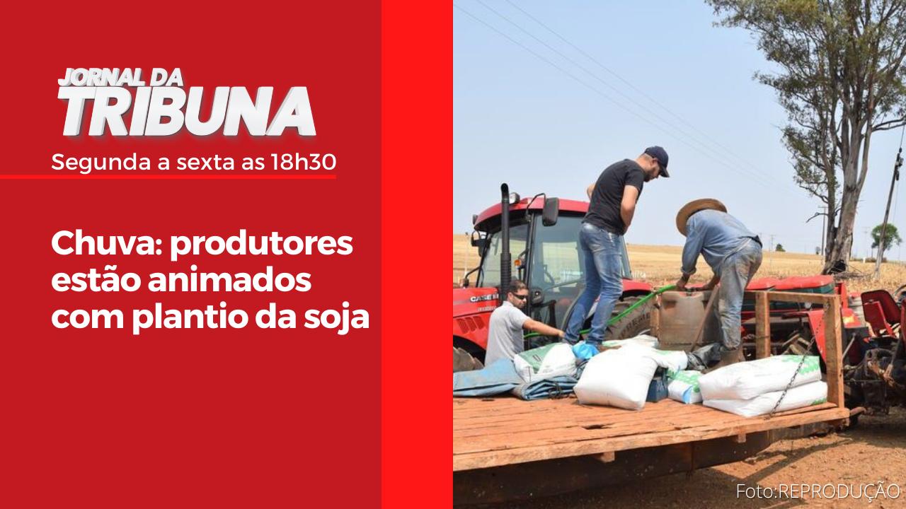 Chuva: produtores estão animados com plantio da soja
