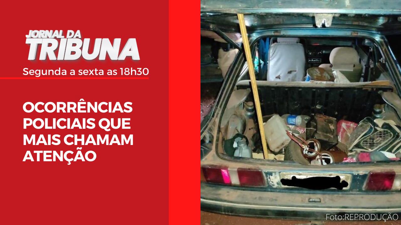 OCORRÊNCIAS POLICIAIS QUE MAIS CHAMAM ATENÇÃO (29/10)