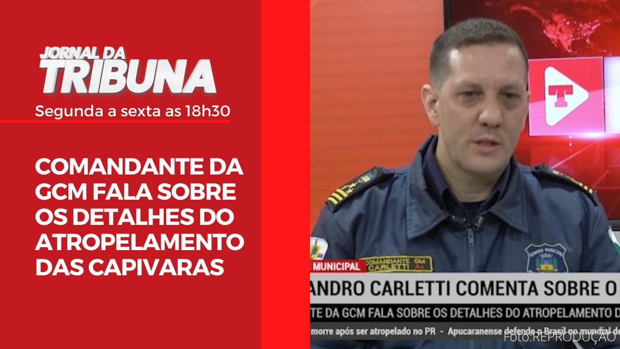 COMANDANTE DA GCM FALA SOBRE OS DETALHES DO ATROPELAMENTO