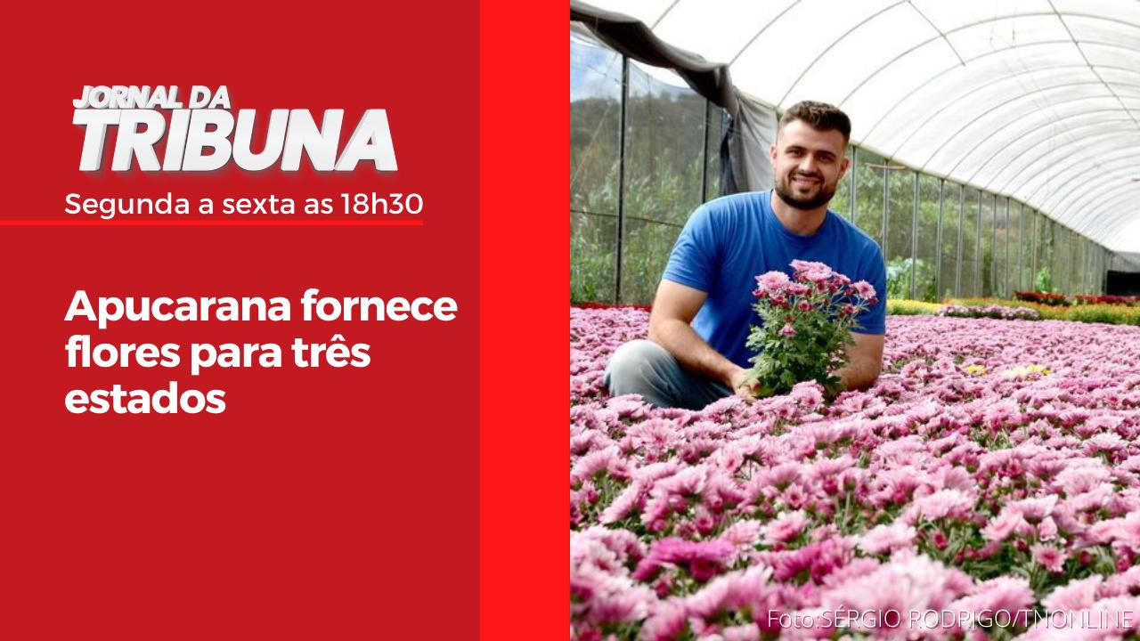 Apucarana fornece flores para três estados