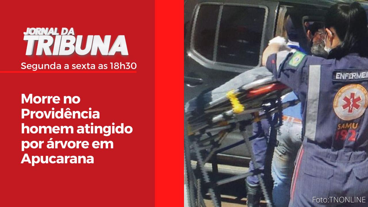 Morre no Providência homem atingido por árvore em Apucarana