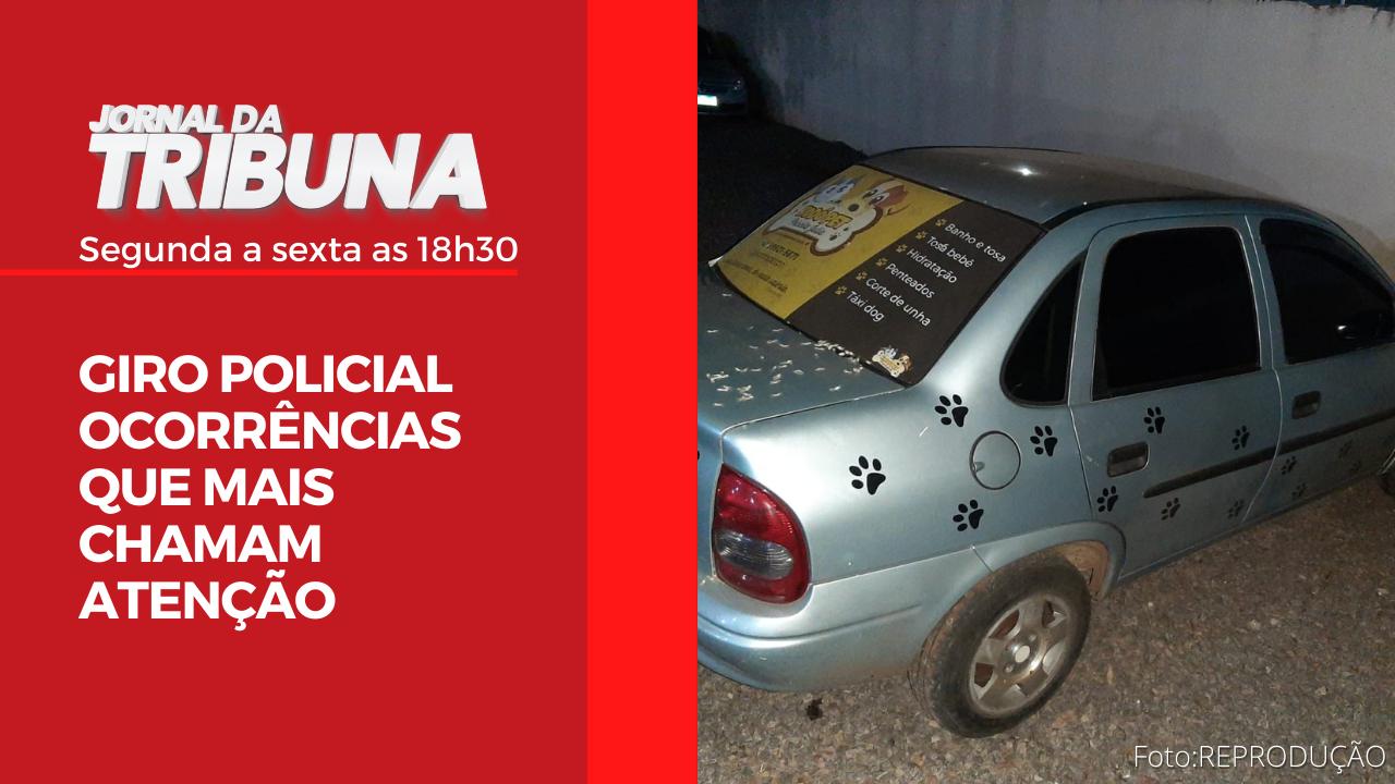 TUDO O QUE ACONTECEU EM APUCARANA, ARAPONGAS E REGIÃO