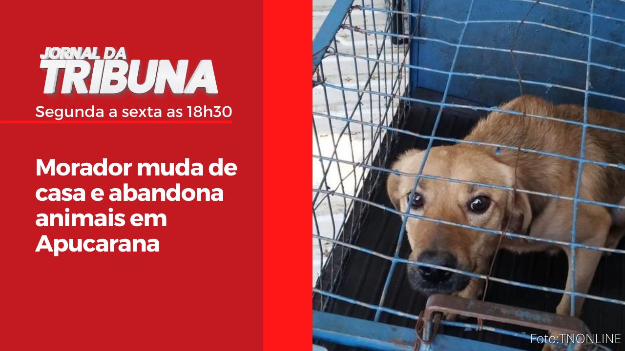 Morador muda de casa e abandona animais em Apucarana