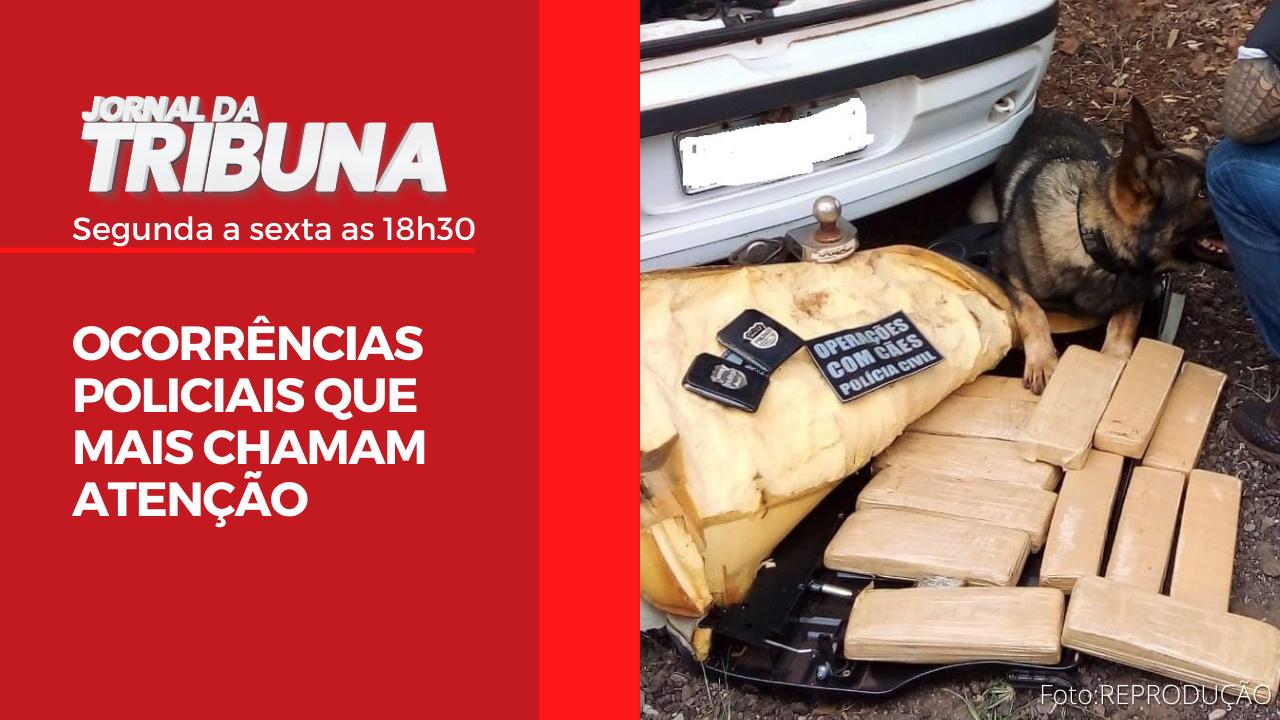 Ocorrências policiais que chamam atenção nesta quarta