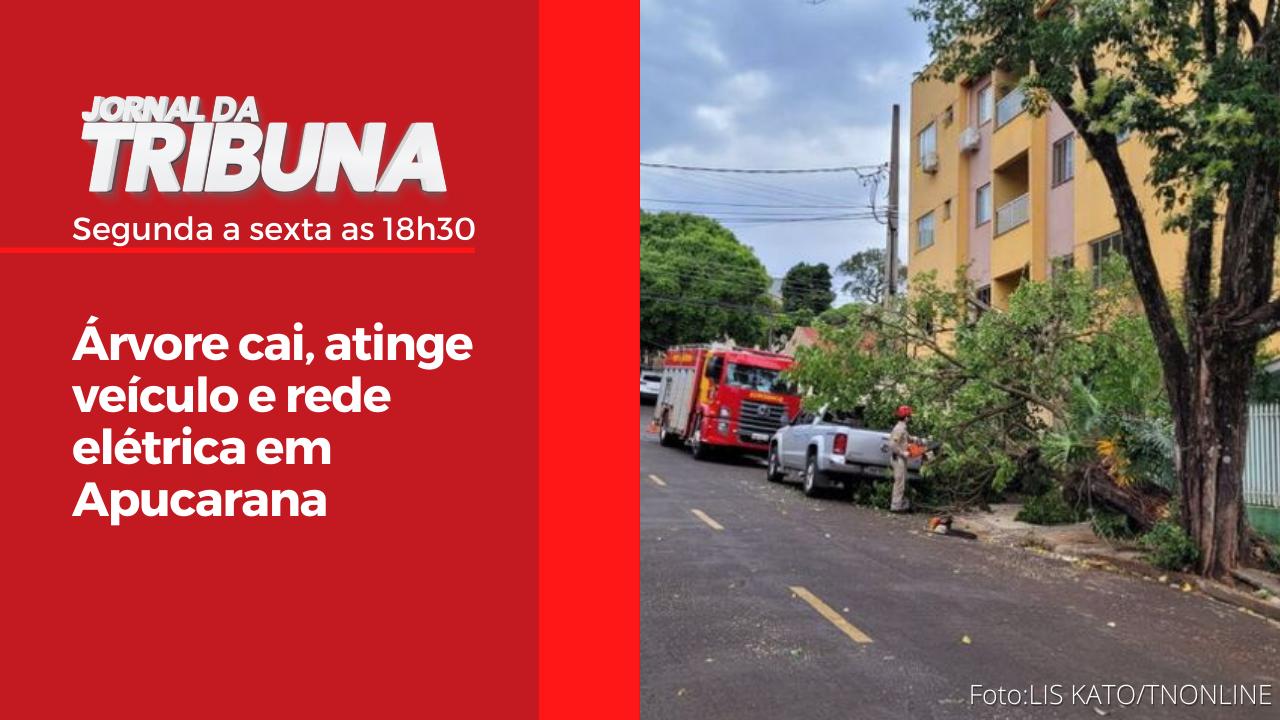 Árvore cai, atinge veículo e rede elétrica em Apucarana