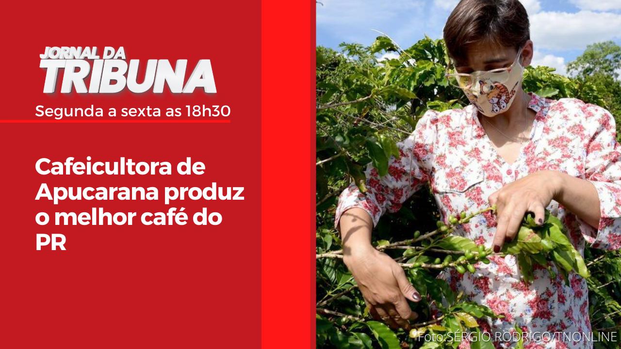Cafeicultora de Apucarana produz o melhor café do PR