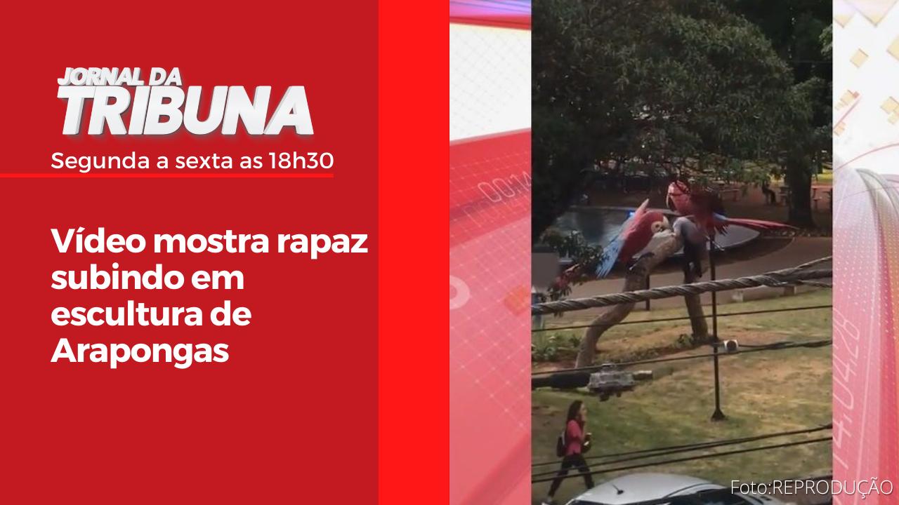Vídeo mostra rapaz subindo em escultura de Arapongas