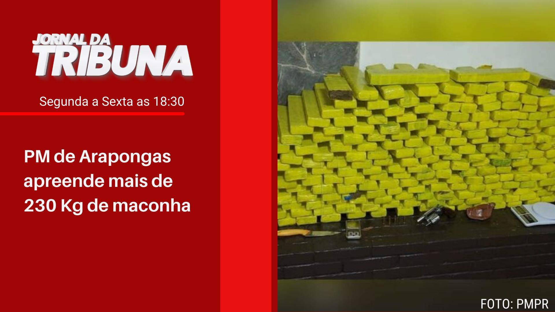 PM de Arapongas apreende mais de 230 Kg de maconha