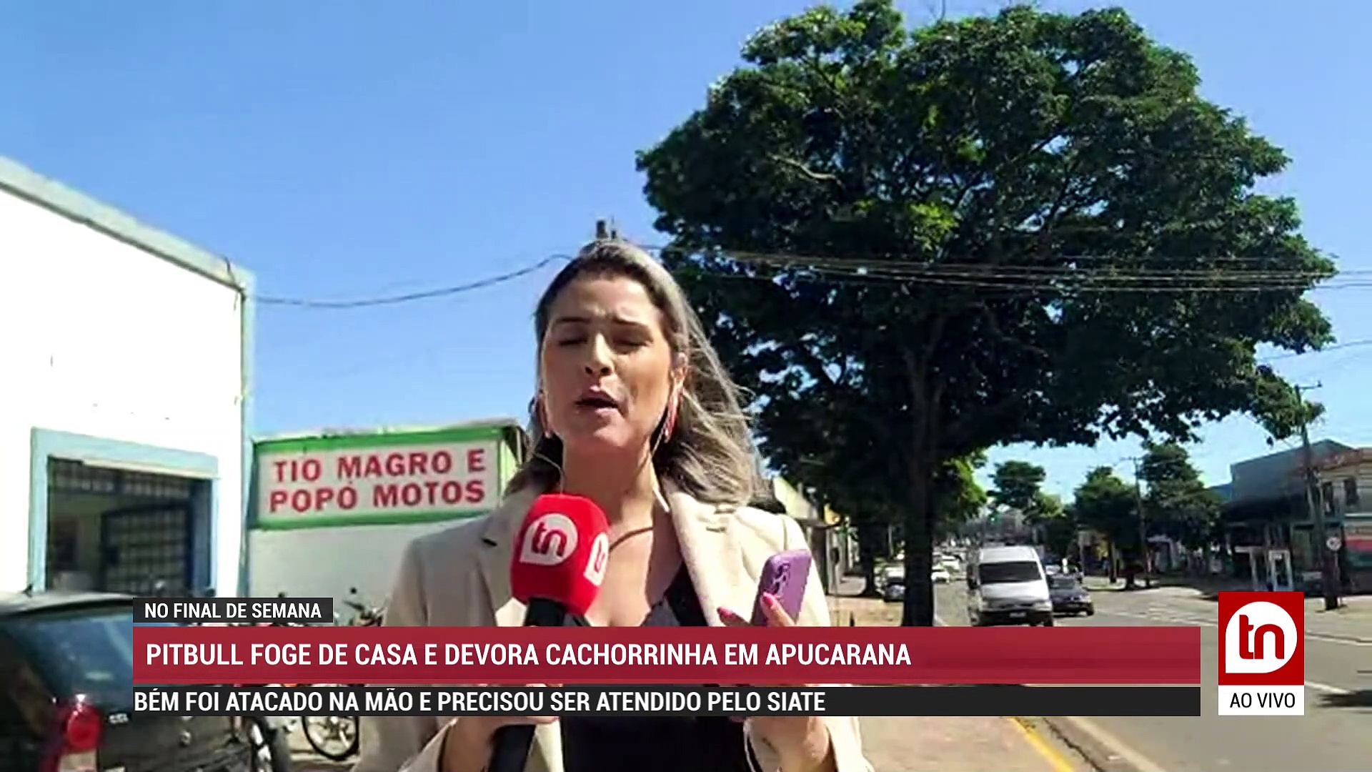 Confira o Boletim da Tribuna desta segunda-feira (25)