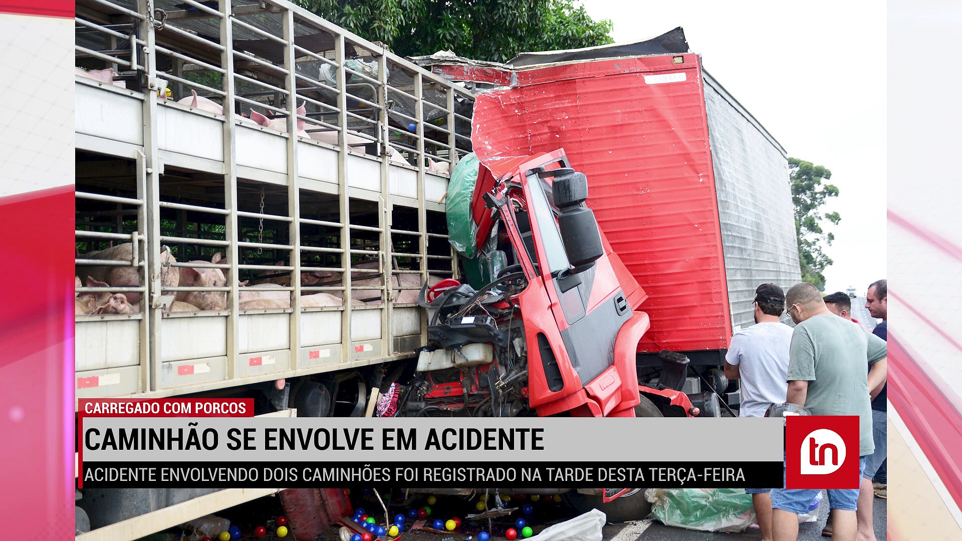 BR-376: caminhão carregado com porcos se envolve em acidente