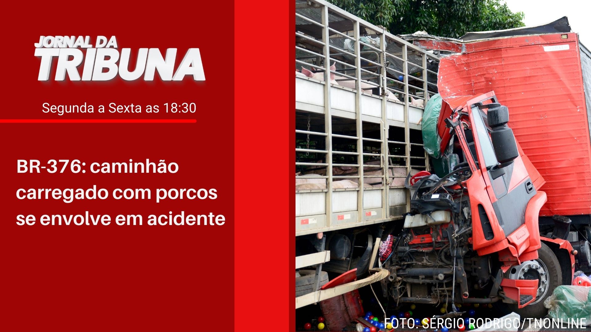 BR-376: caminhão carregado com porcos se envolve em acidente