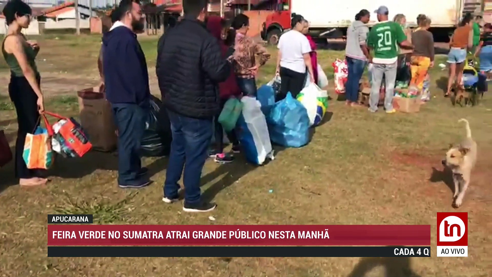 Confira o Boletim da Tribuna desta quinta-feira (26)