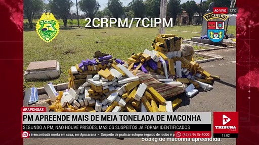 Polícia de Arapongas apreende mais de meia tonelada de maconha
